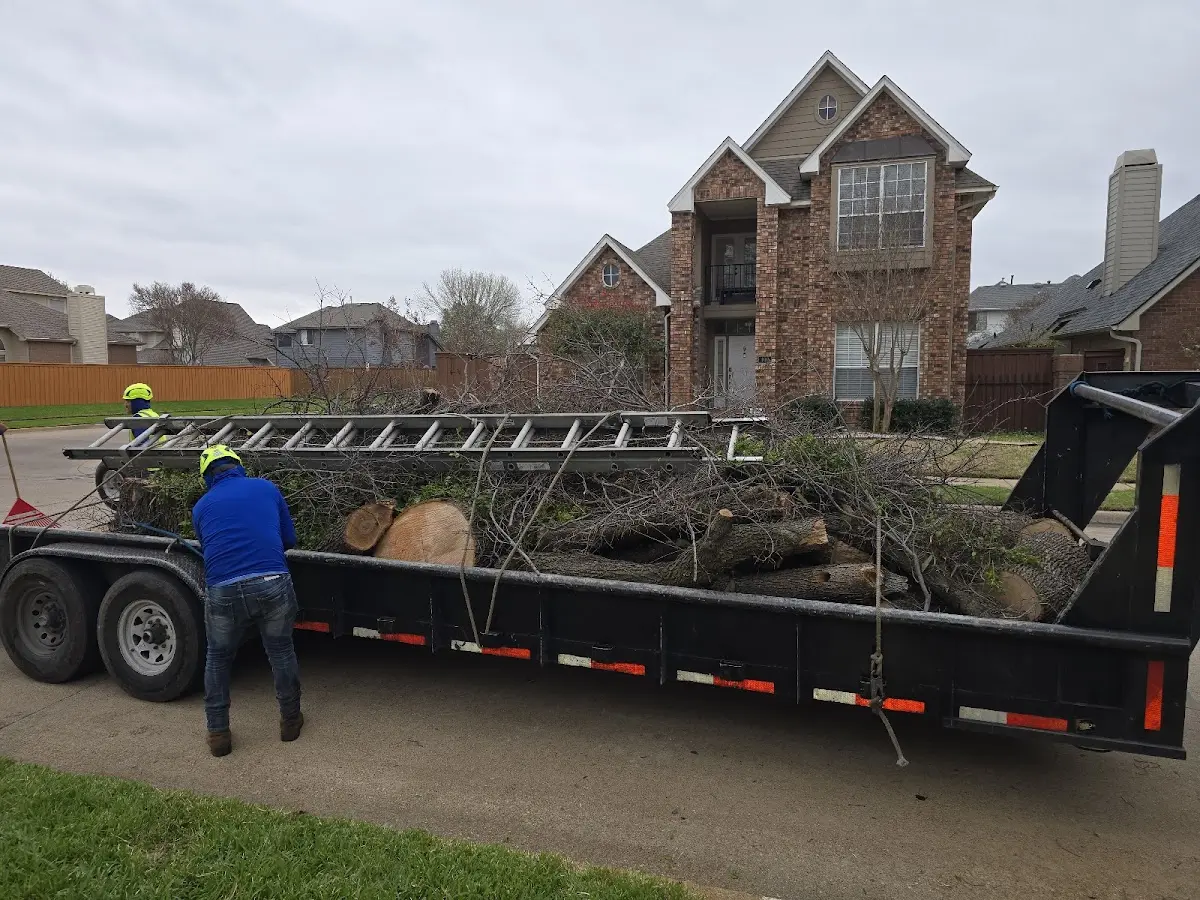 Expert Crown Reduction with proper safety equipment in Deer Park